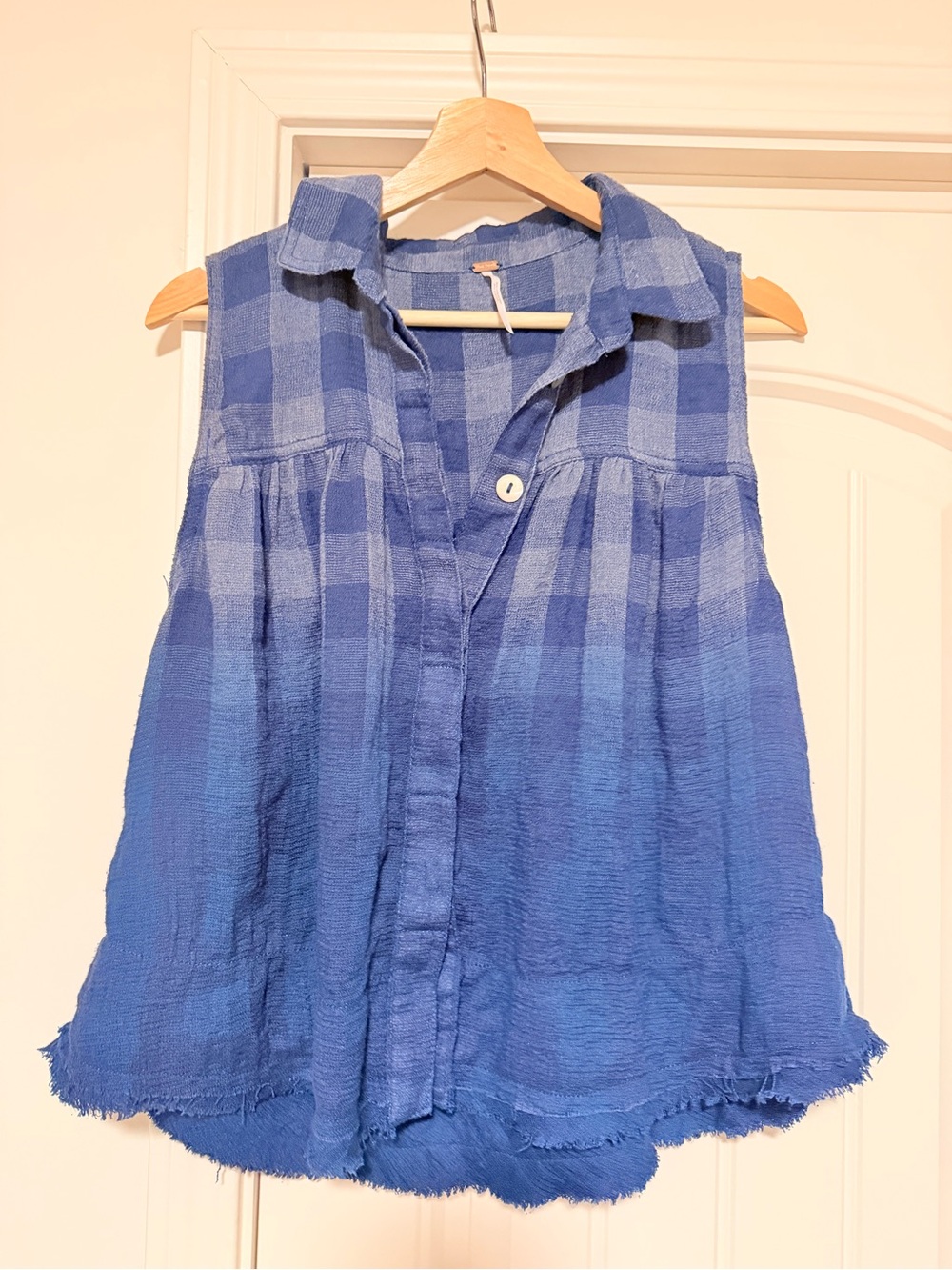 Free People Blue Plaid Sleeveless Button-Front Blouse